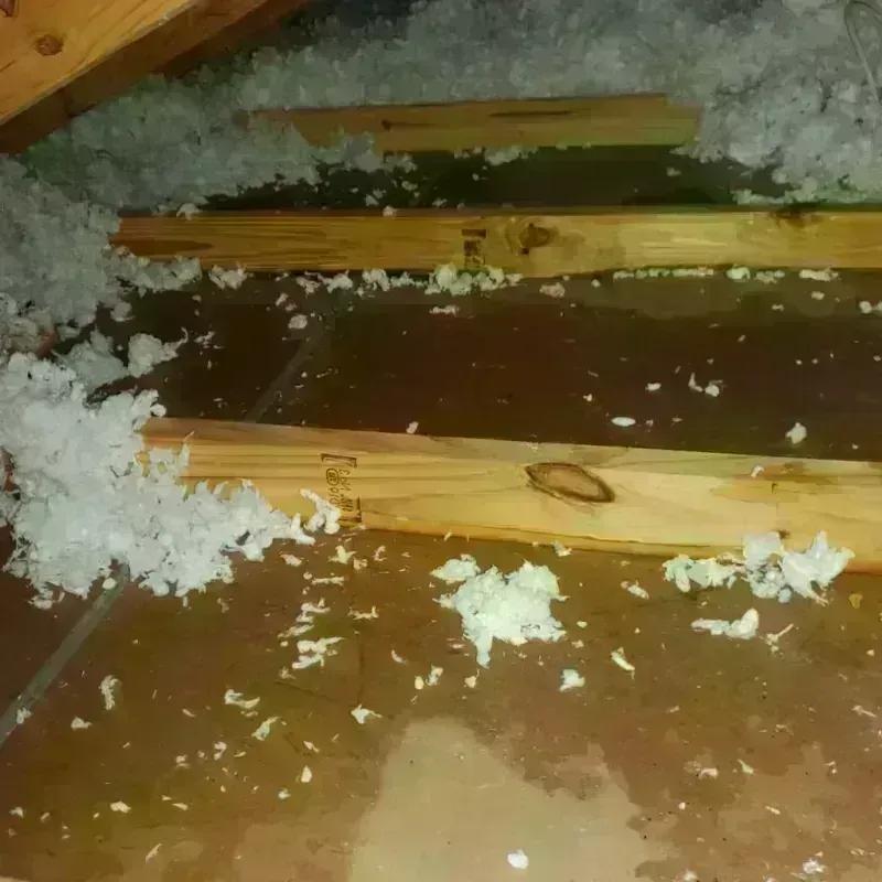 Attic Water Damage in Postville, IA